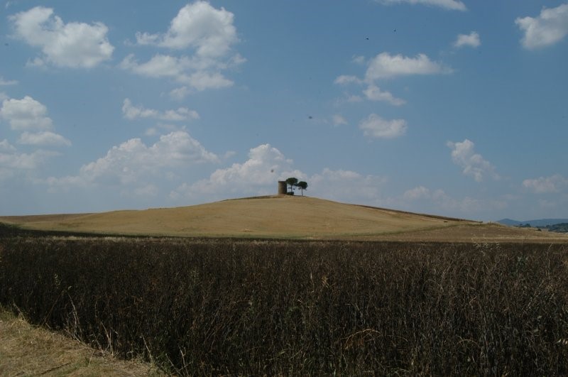 BIBBONA CAMPAGNA